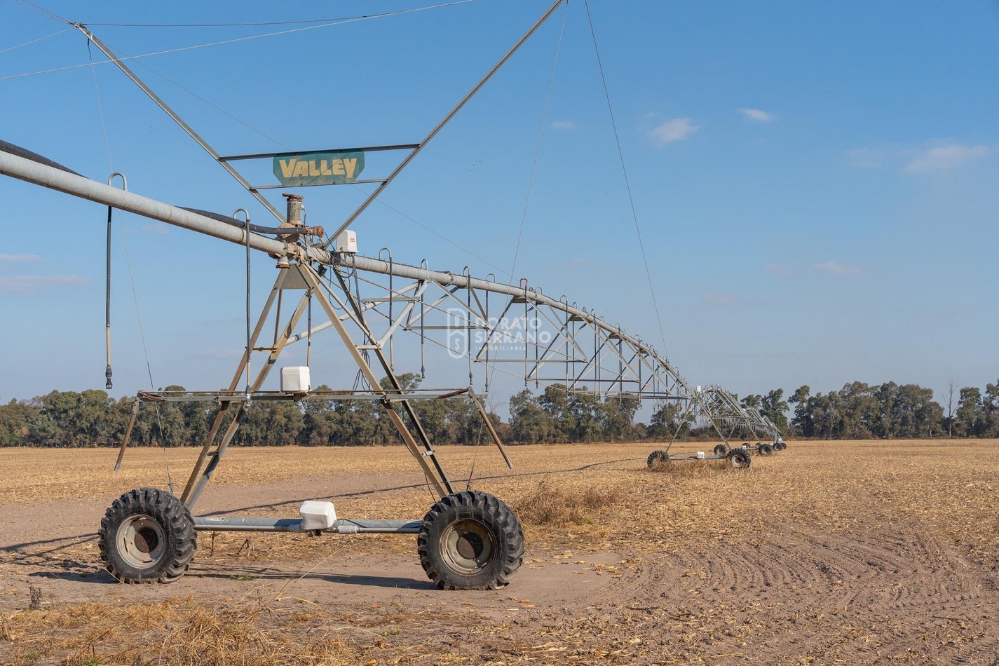 CAMPO  AGRICOLA /109 Ha. + RIEGO + INSTALACIONES = ESTABLECIMIENTO FULL!