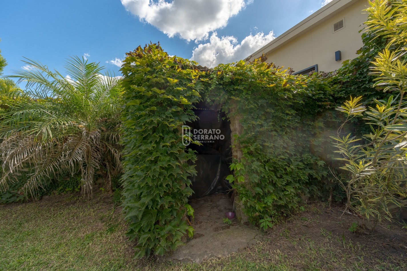 MAGNIFICA & VERSATIL / CANTIDAD + CALIDAD.