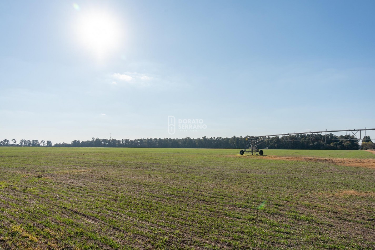 CAMPO  AGRICOLA /109 Ha. + RIEGO + INSTALACIONES = ESTABLECIMIENTO FULL!