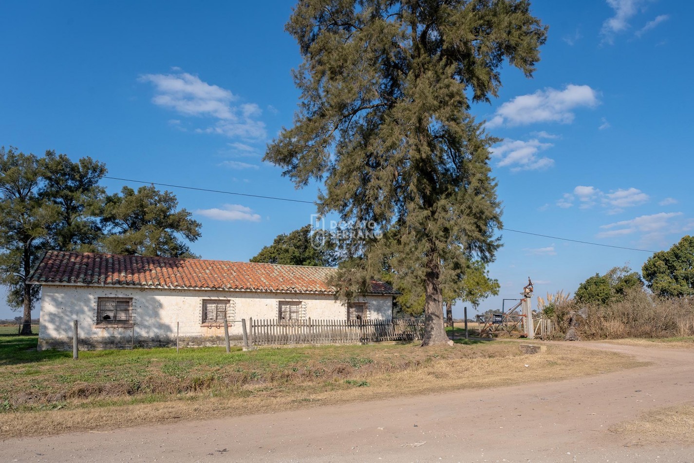 CAMPO  AGRICOLA /109 Ha. + RIEGO + INSTALACIONES = ESTABLECIMIENTO FULL!