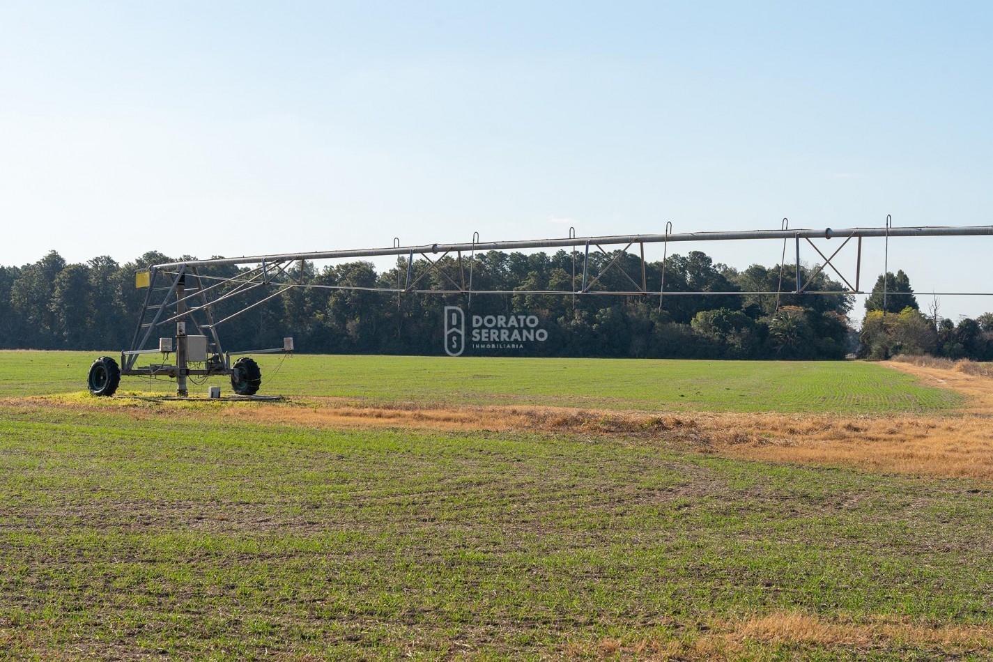 CAMPO  AGRICOLA /109 Ha. + RIEGO + INSTALACIONES = ESTABLECIMIENTO FULL!