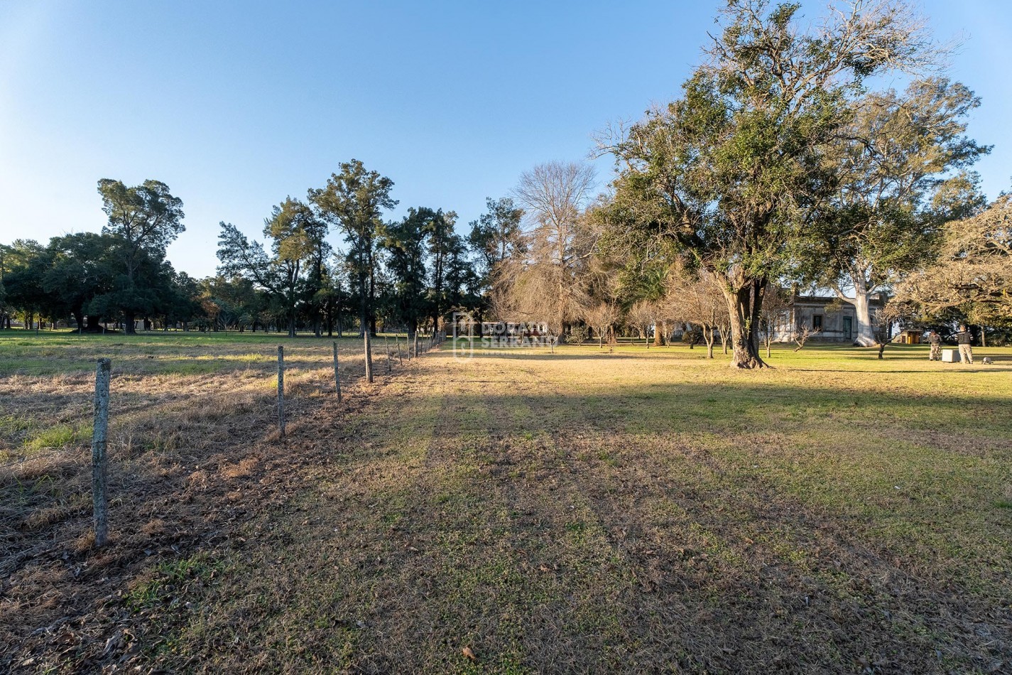 CAMPO  AGRICOLA /109 Ha. + RIEGO + INSTALACIONES = ESTABLECIMIENTO FULL!