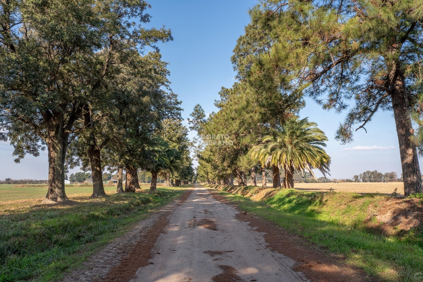 CAMPO  AGRICOLA /109 Ha. + RIEGO + INSTALACIONES = ESTABLECIMIENTO FULL!