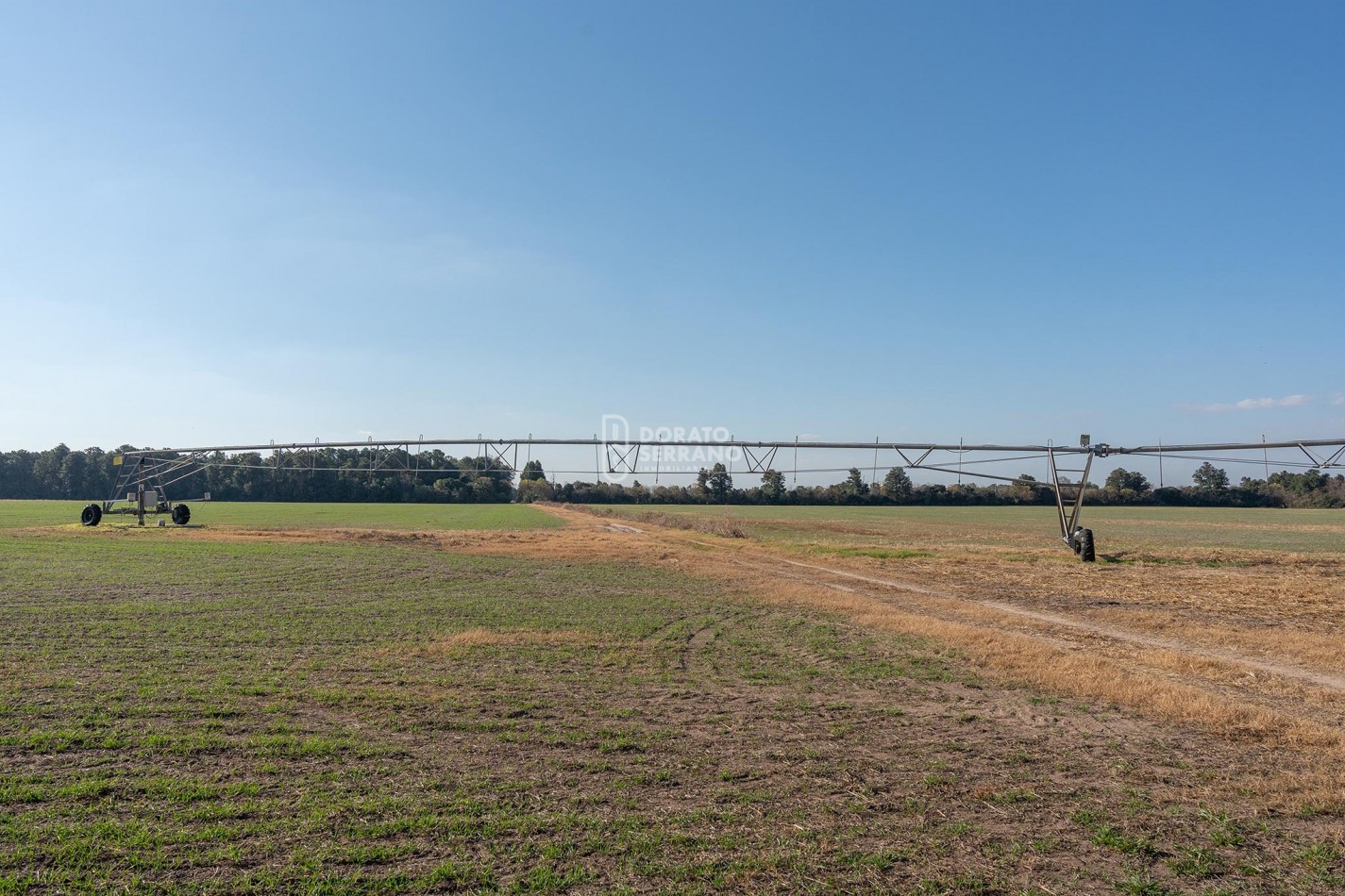 CAMPO  AGRICOLA /109 Ha. + RIEGO + INSTALACIONES = ESTABLECIMIENTO FULL!