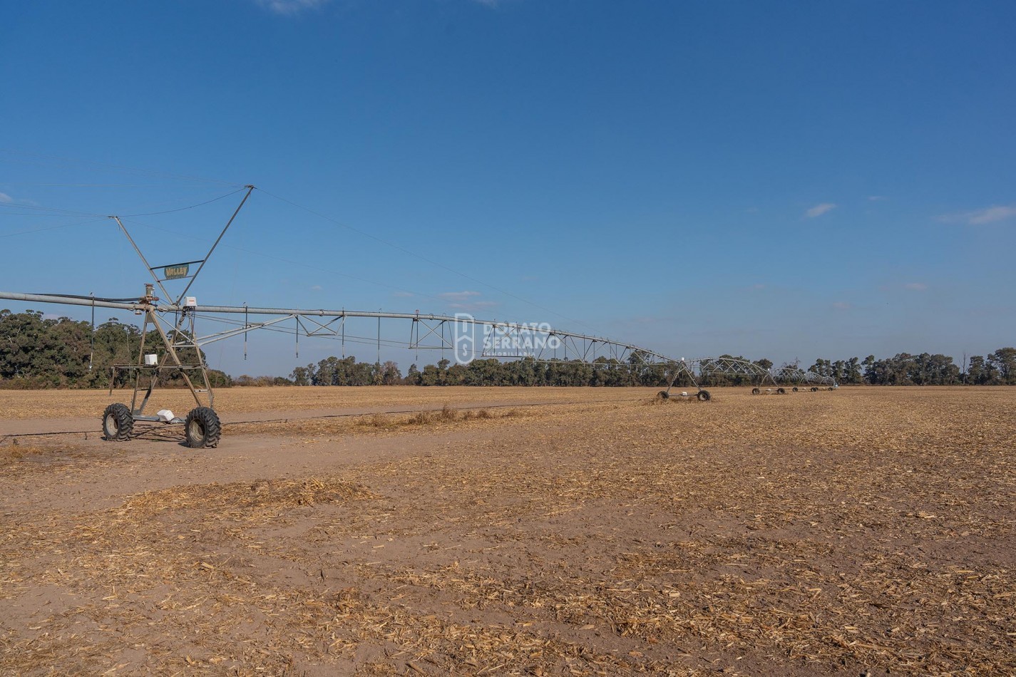 CAMPO  AGRICOLA /109 Ha. + RIEGO + INSTALACIONES = ESTABLECIMIENTO FULL!