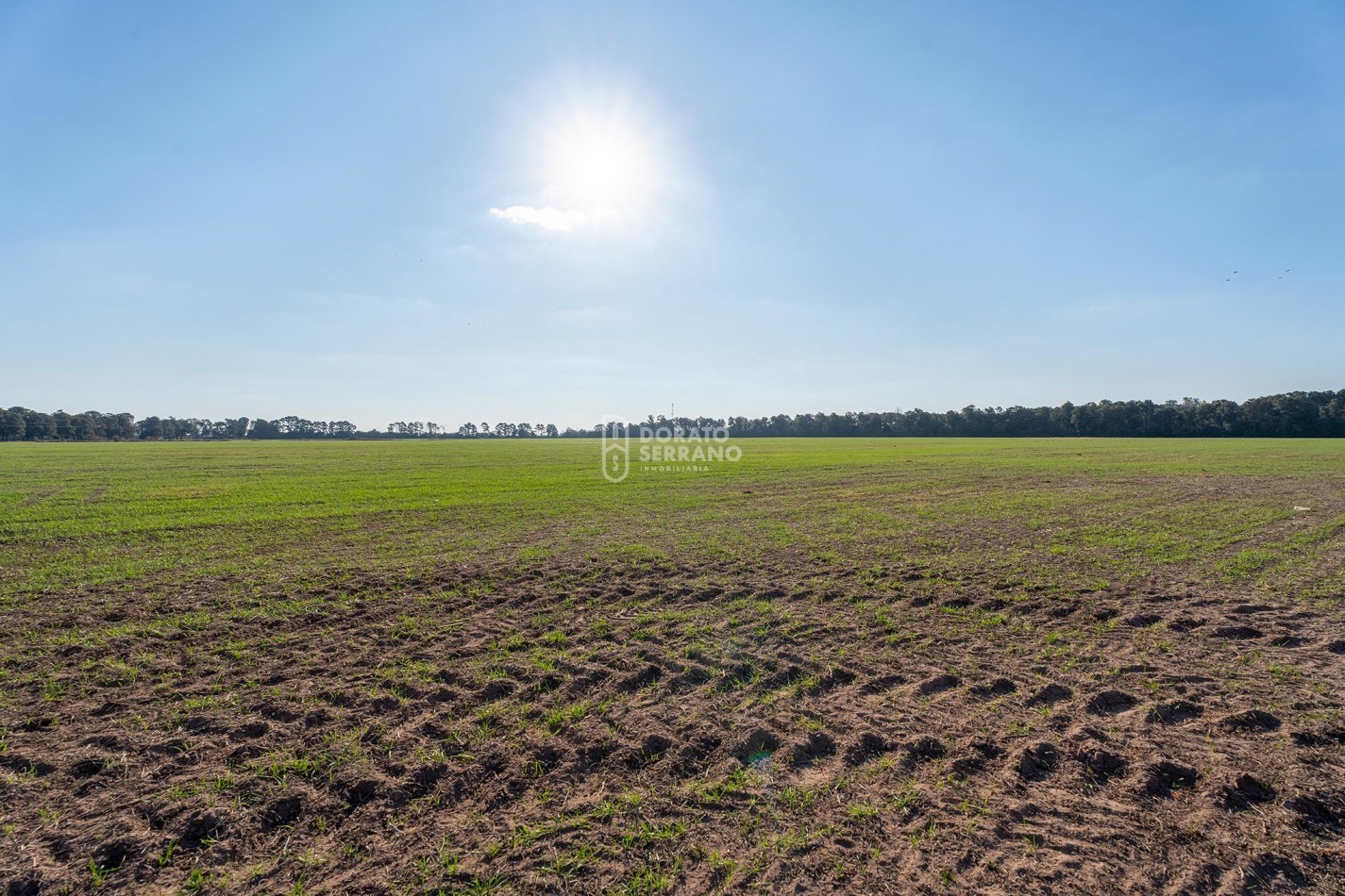 CAMPO  AGRICOLA /109 Ha. + RIEGO + INSTALACIONES = ESTABLECIMIENTO FULL!