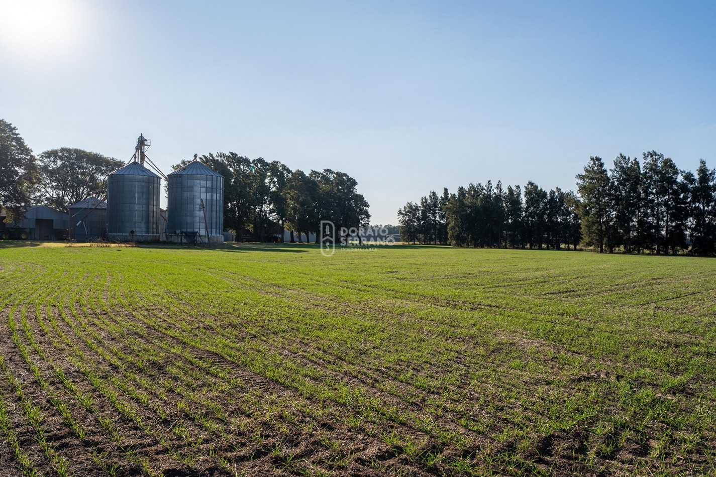 CAMPO  AGRICOLA /109 Ha. + RIEGO + INSTALACIONES = ESTABLECIMIENTO FULL!