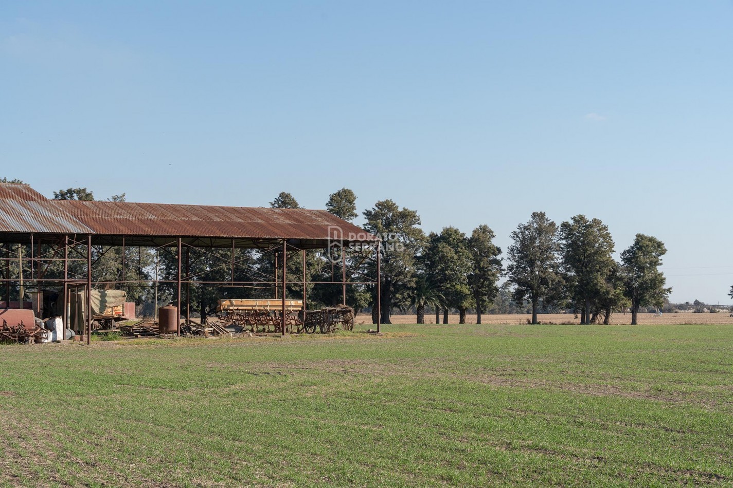 CAMPO  AGRICOLA /109 Ha. + RIEGO + INSTALACIONES = ESTABLECIMIENTO FULL!