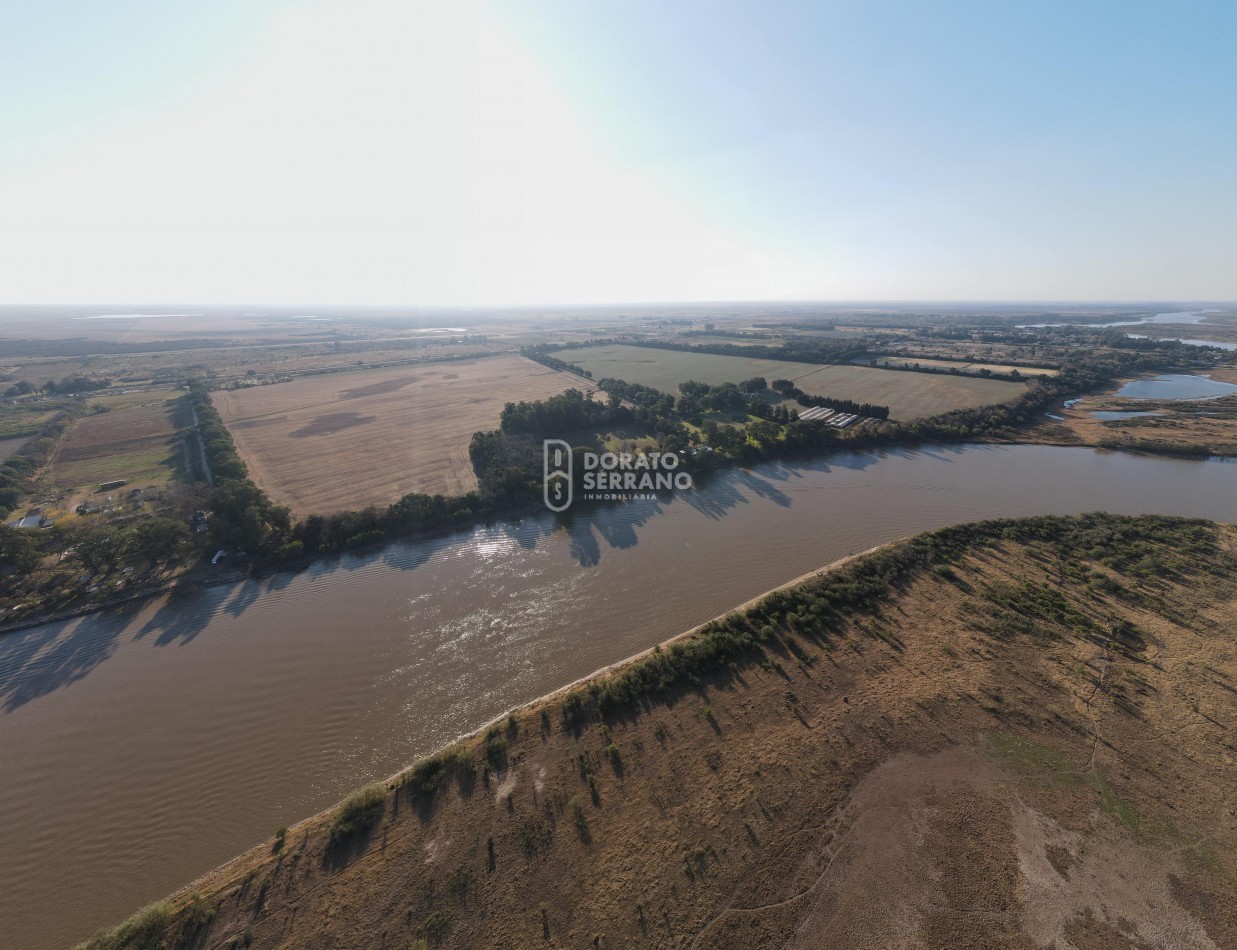 CAMPO  AGRICOLA /109 Ha. + RIEGO + INSTALACIONES = ESTABLECIMIENTO FULL!