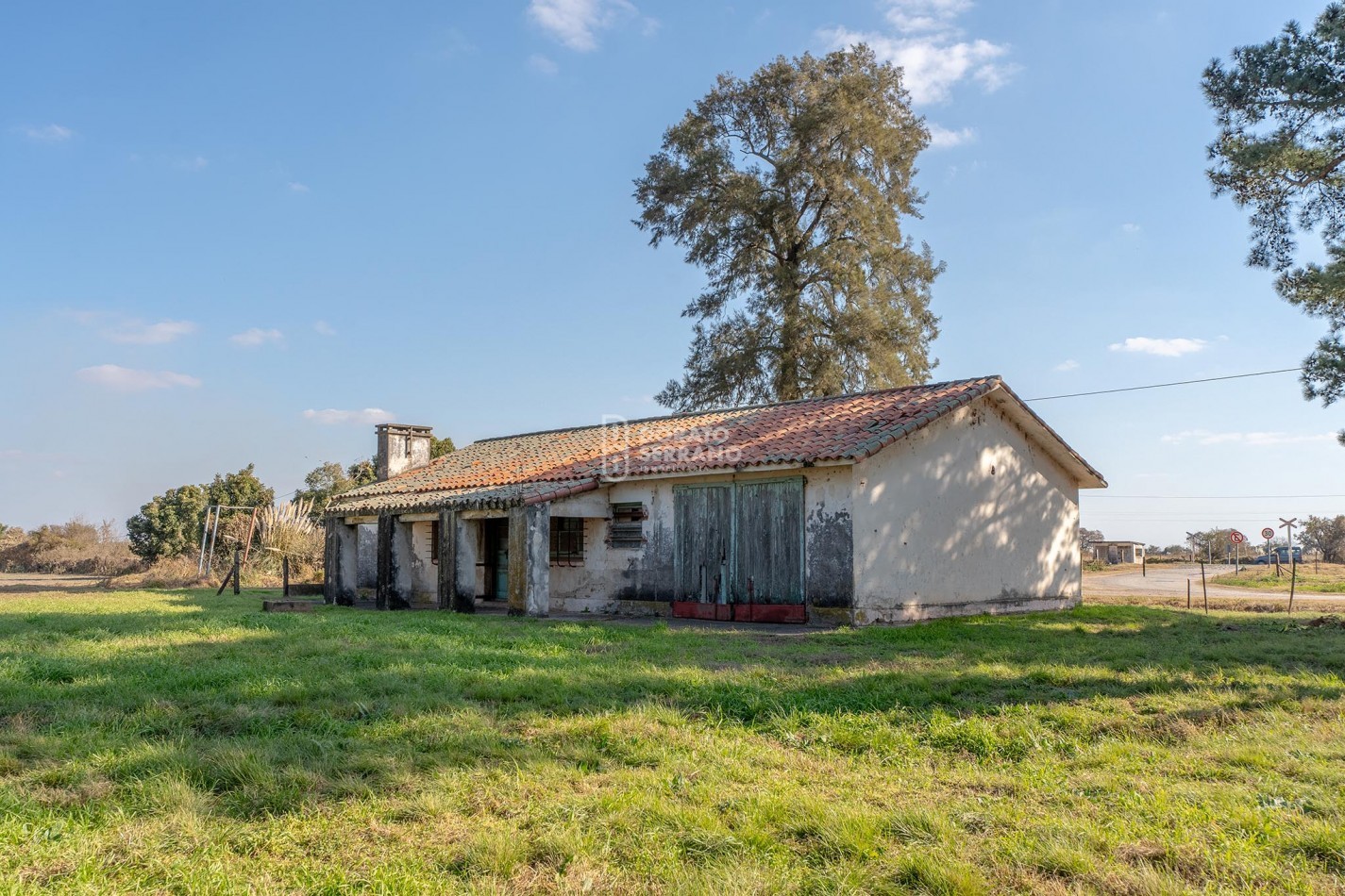 CAMPO  AGRICOLA /109 Ha. + RIEGO + INSTALACIONES = ESTABLECIMIENTO FULL!