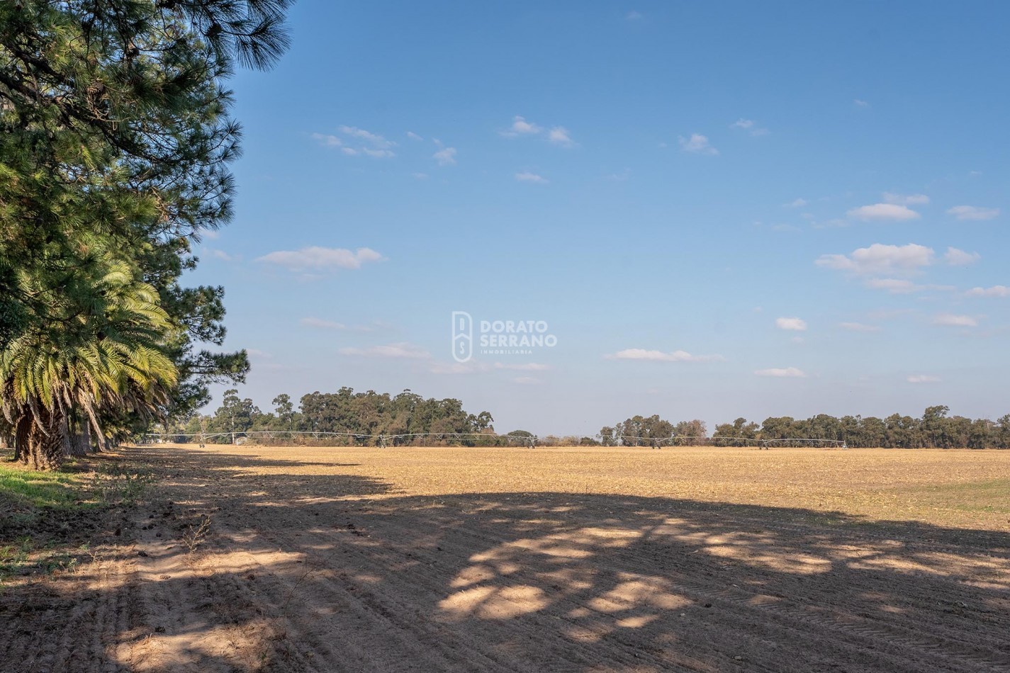 CAMPO  AGRICOLA /109 Ha. + RIEGO + INSTALACIONES = ESTABLECIMIENTO FULL!