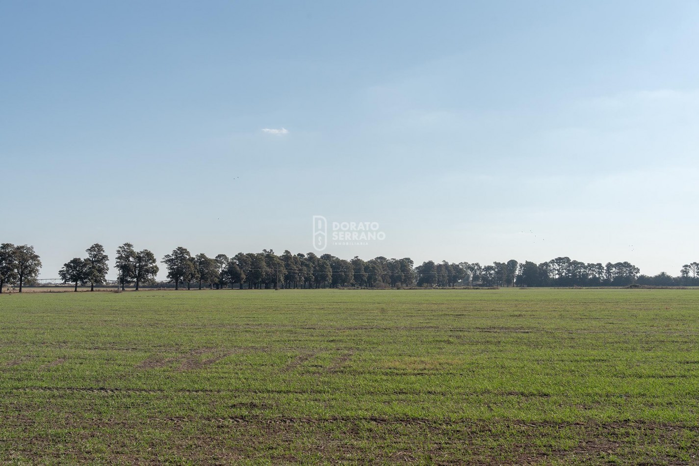 CAMPO  AGRICOLA /109 Ha. + RIEGO + INSTALACIONES = ESTABLECIMIENTO FULL!