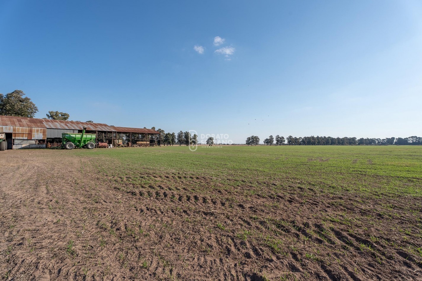 CAMPO  AGRICOLA /109 Ha. + RIEGO + INSTALACIONES = ESTABLECIMIENTO FULL!