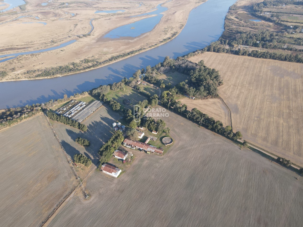 CAMPO  AGRICOLA /109 Ha. + RIEGO + INSTALACIONES = ESTABLECIMIENTO FULL!