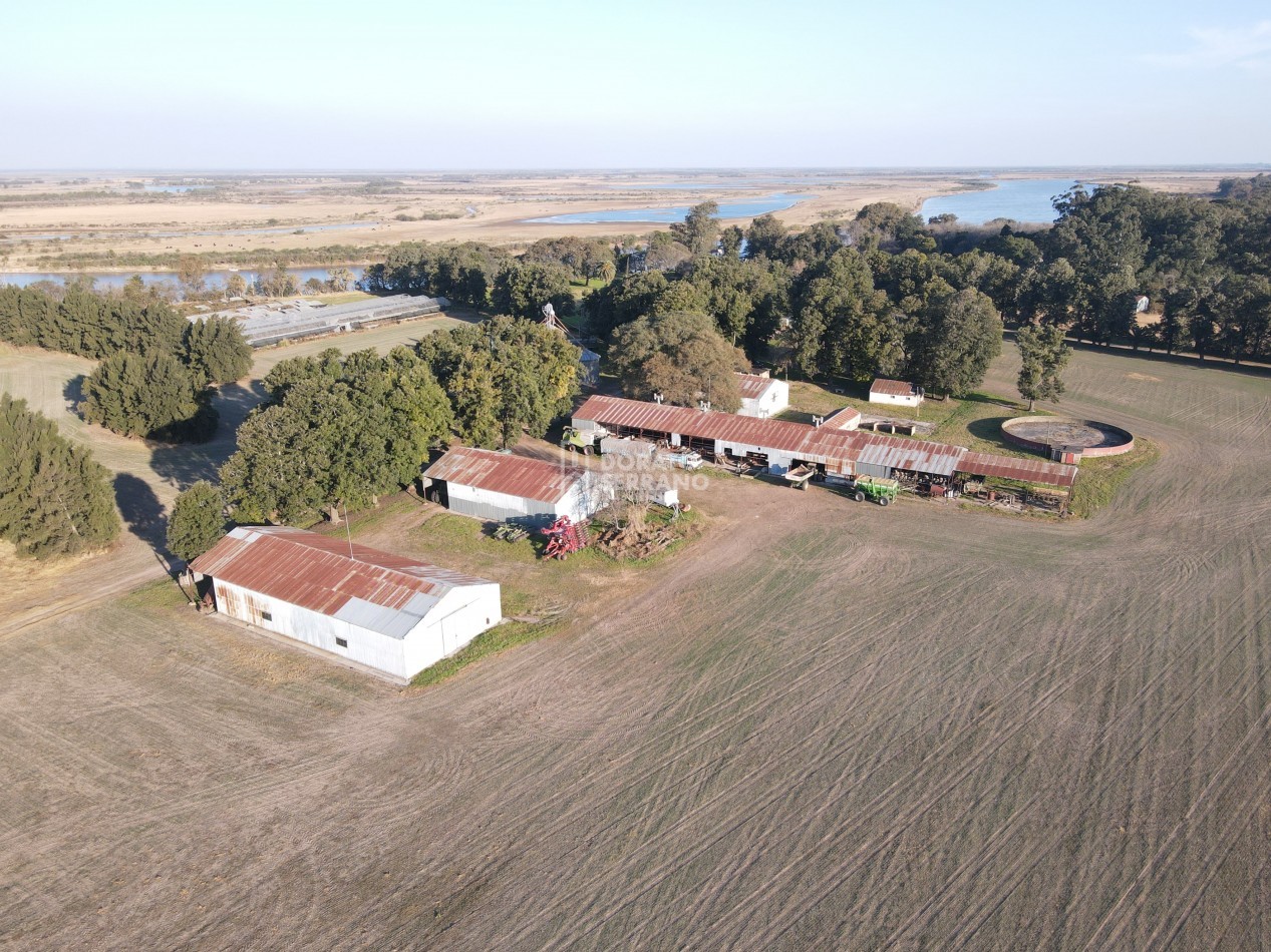 CAMPO  AGRICOLA /109 Ha. + RIEGO + INSTALACIONES = ESTABLECIMIENTO FULL!