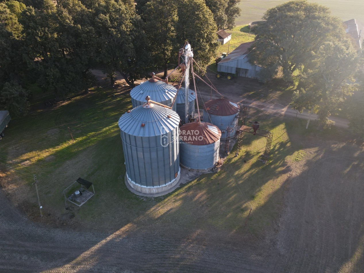 CAMPO  AGRICOLA /109 Ha. + RIEGO + INSTALACIONES = ESTABLECIMIENTO FULL!