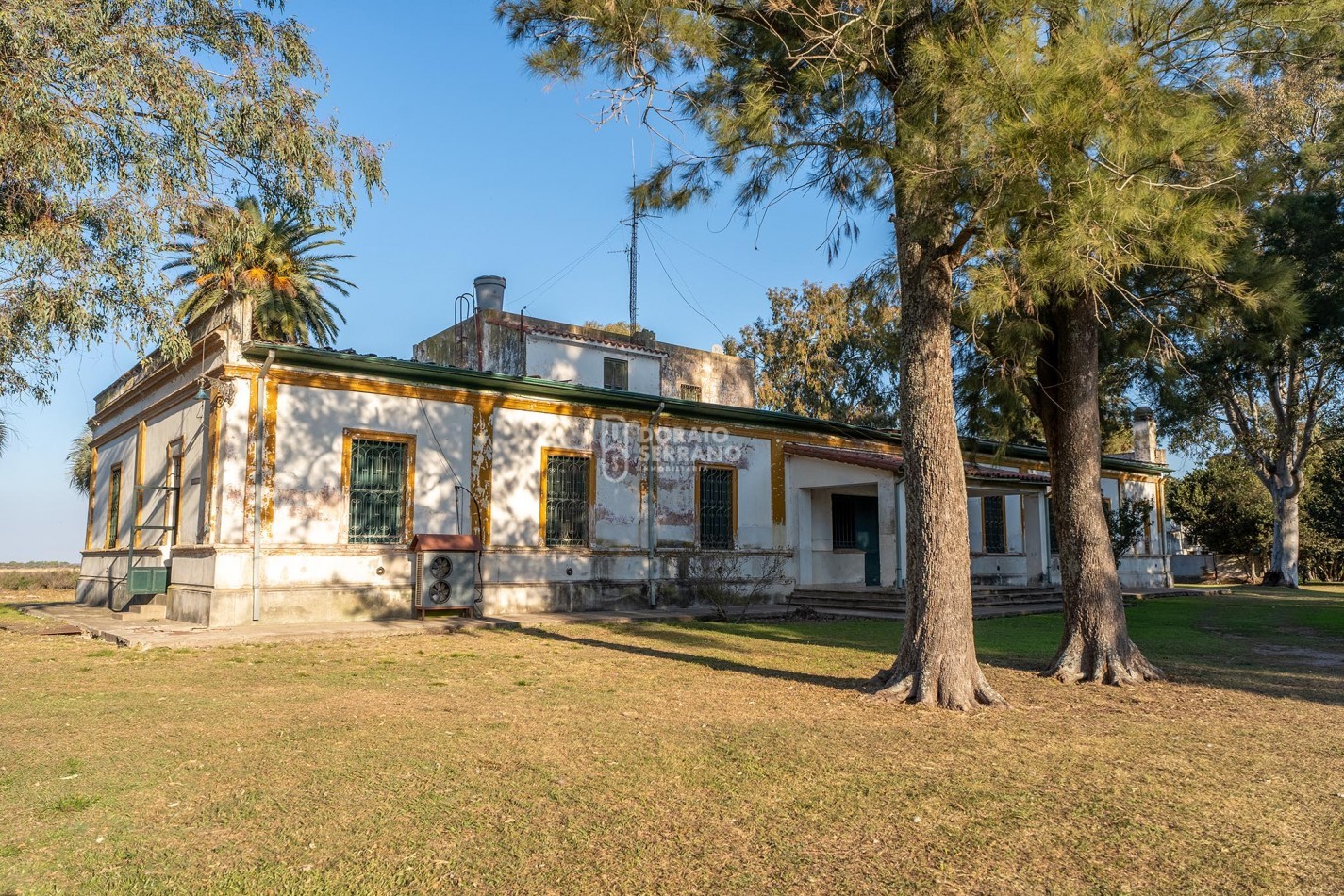 CAMPO  AGRICOLA /109 Ha. + RIEGO + INSTALACIONES = ESTABLECIMIENTO FULL!