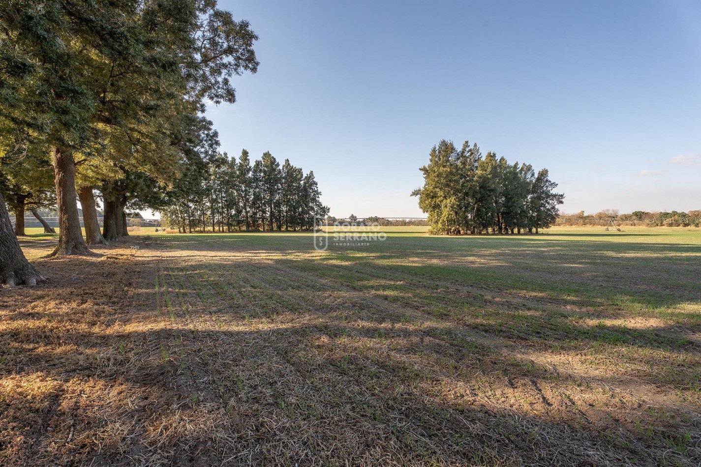 CAMPO  AGRICOLA /109 Ha. + RIEGO + INSTALACIONES = ESTABLECIMIENTO FULL!