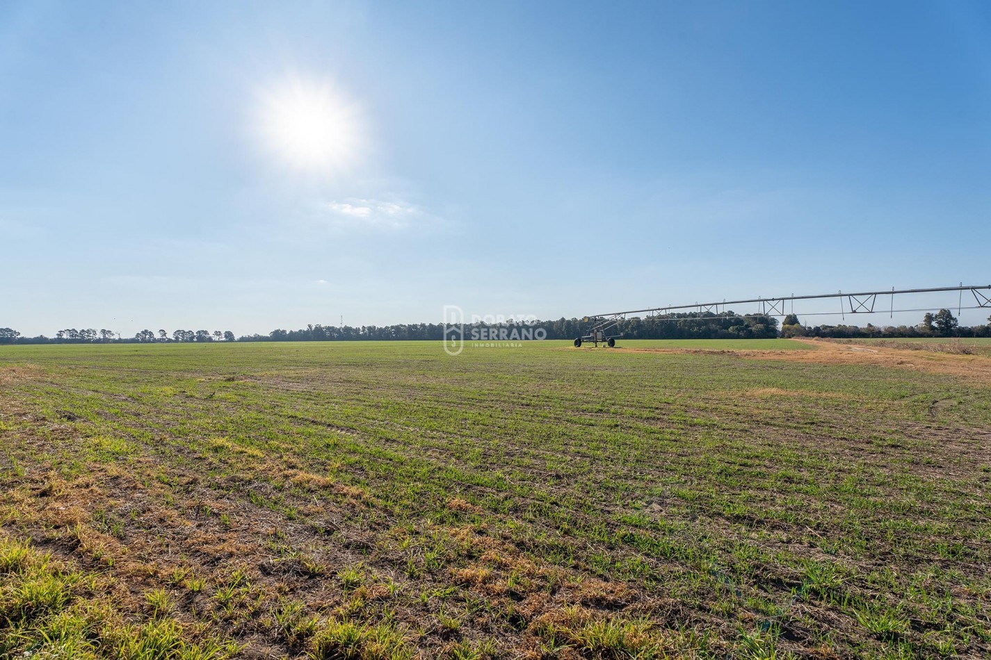 CAMPO  AGRICOLA /109 Ha. + RIEGO + INSTALACIONES = ESTABLECIMIENTO FULL!