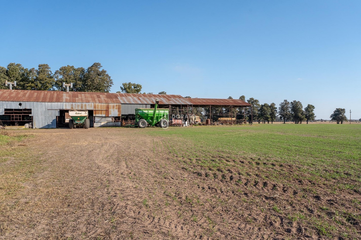 CAMPO  AGRICOLA /109 Ha. + RIEGO + INSTALACIONES = ESTABLECIMIENTO FULL!