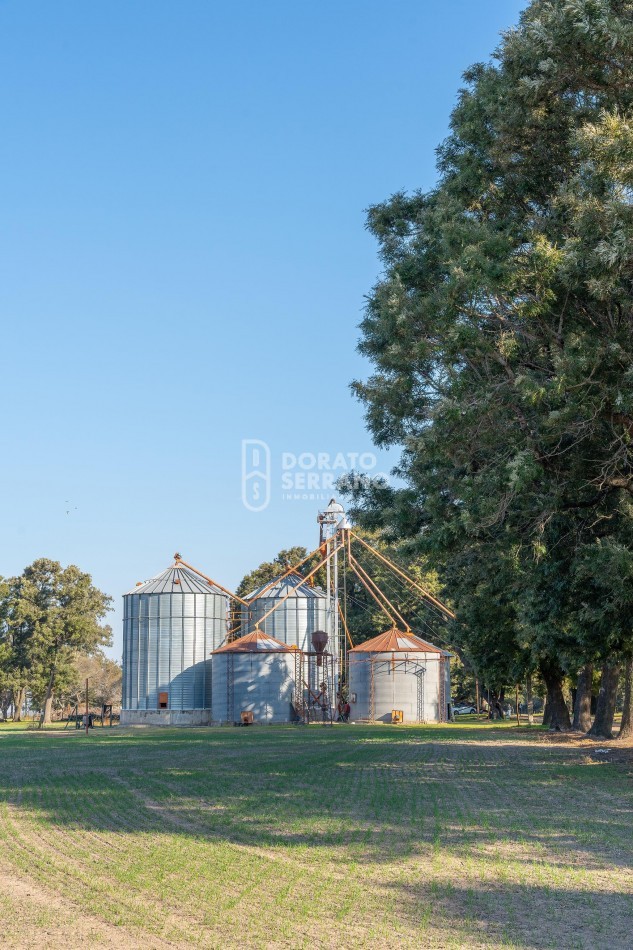 CAMPO  AGRICOLA /109 Ha. + RIEGO + INSTALACIONES = ESTABLECIMIENTO FULL!