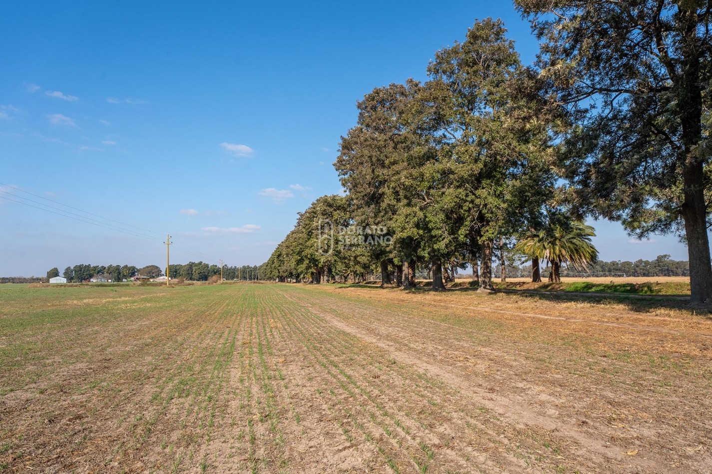 CAMPO  AGRICOLA /109 Ha. + RIEGO + INSTALACIONES = ESTABLECIMIENTO FULL!