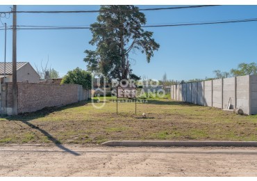 LOTE - SECTOR EN PLENO CRECIMIENTO!
