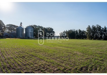 CAMPO  AGRICOLA /109 Ha. + RIEGO + INSTALACIONES = ESTABLECIMIENTO FULL!